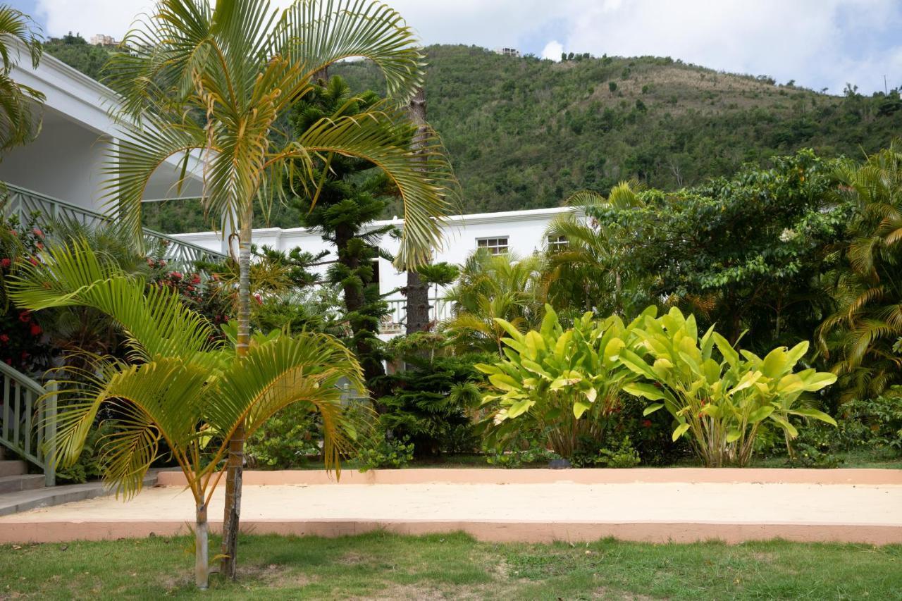 Icis Villas Brewers Bay Exteriör bild