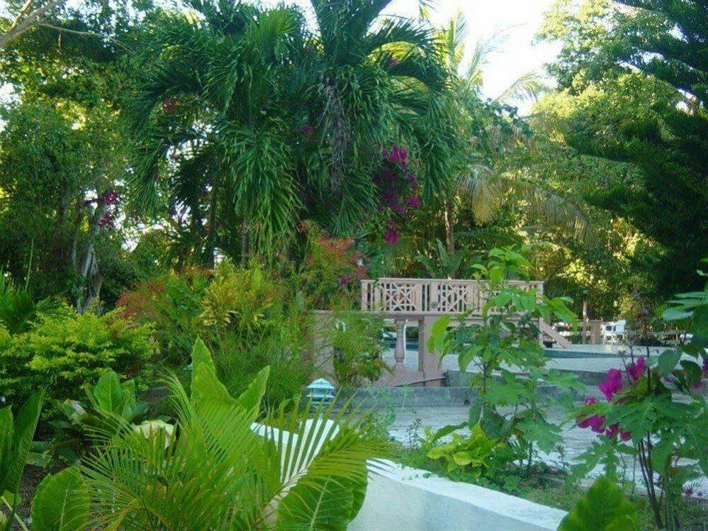 Icis Villas Brewers Bay Exteriör bild