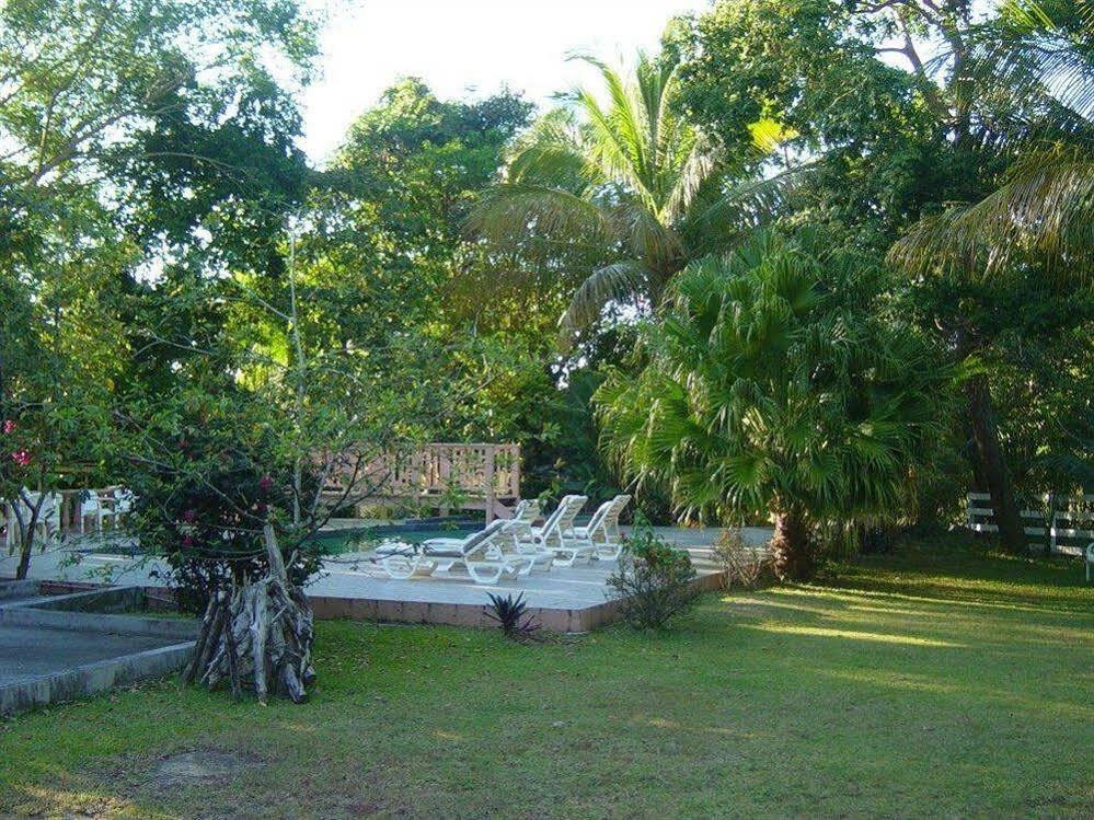 Icis Villas Brewers Bay Exteriör bild